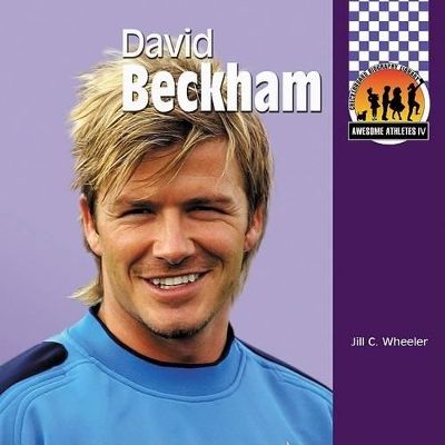 David Beckham book