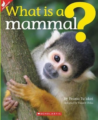 What Is a Mammal? book