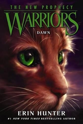 Warriors: The New Prophecy #3: Dawn book