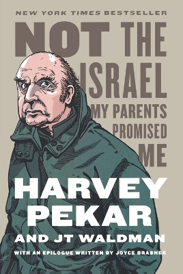 Not the Israel My Parents Promised Me book