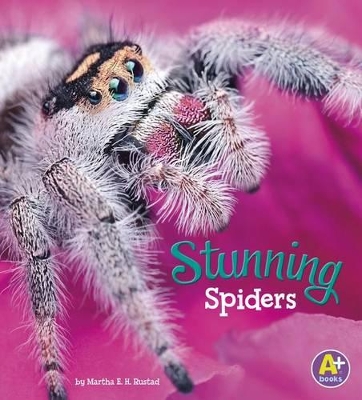 Stunning Spiders by Martha E. H. Rustad