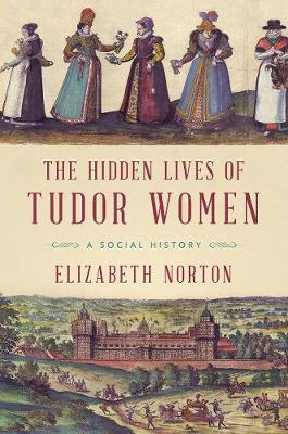 Hidden Lives of Tudor Women book