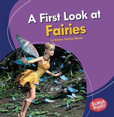 A First Look at Fairies book