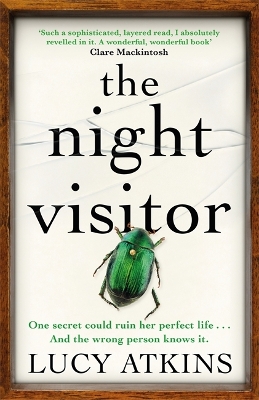 Night Visitor by Lucy Atkins