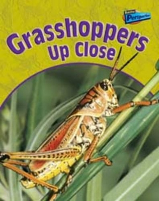 Grasshoppers Up Close by Greg Pyers