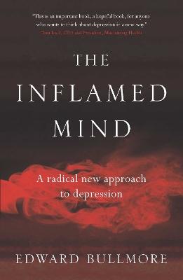 The Inflamed Mind: A radical new approach to depression book