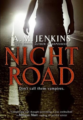 Night Road by A m Jenkins