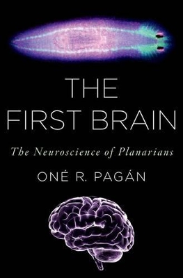 First Brain book