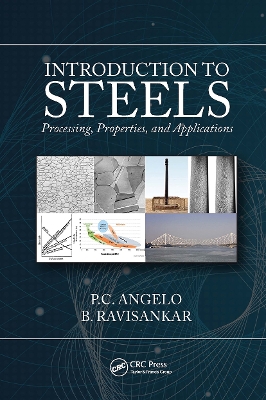 Introduction to Steels: Processing, Properties, and Applications by P.C. Angelo