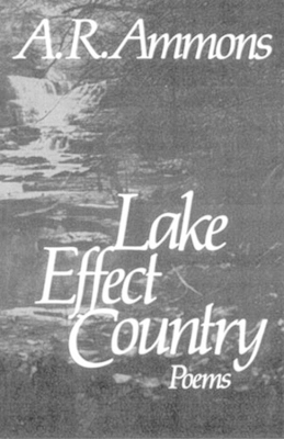 Lake Effect Country book