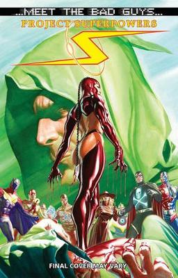 Project Superpowers: Meet The Bad Guys book