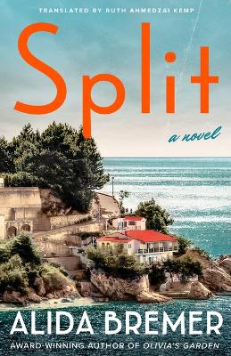 Split: A Novel book
