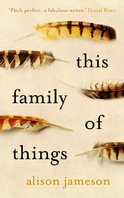 This Family of Things by Alison Jameson