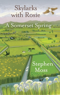 Skylarks with Rosie: A Somerset Spring book