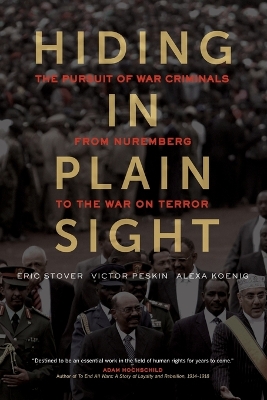 Hiding in Plain Sight book