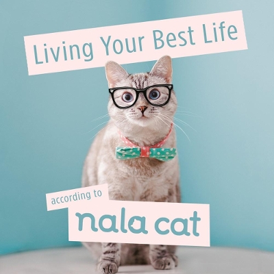 Living Your Best Life According to Nala Cat book