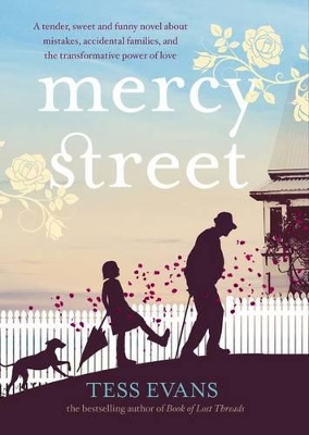 Mercy Street book
