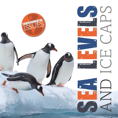 Sea Levels and Ice Caps book