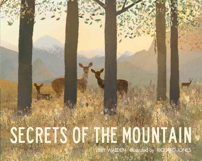 Secrets of the Mountain book