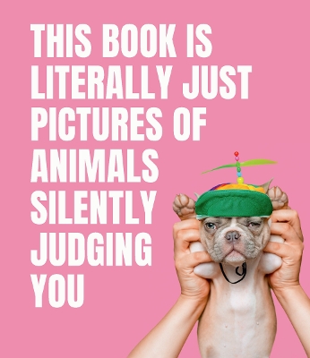 This Book is Literally Just Pictures of Animals Silently Judging You book