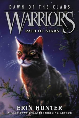 Warriors: Dawn of the Clans #6: Path of Stars by Erin Hunter