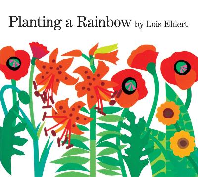 Planting a Rainbow: Lap-Sized Board Book by Lois Ehlert