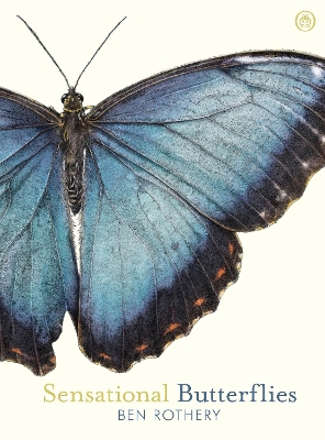 Sensational Butterflies book