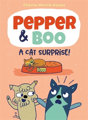 Pepper & Boo: A Cat Surprise! book