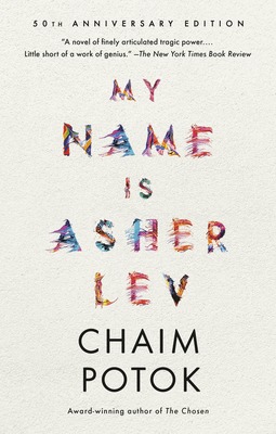 My Name is Asher Lev book