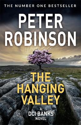 The Hanging Valley: A compulsive police suspense featuring Inspector Banks book