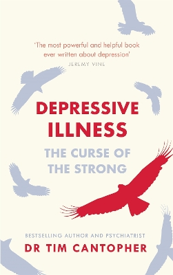 Depressive Illness: The Curse Of The Strong book