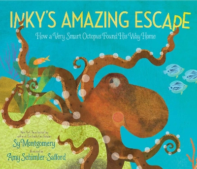Inky's Amazing Escape: How a Very Smart Octopus Found His Way Home book
