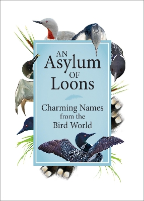 An Asylum of Loons: Charming Names from the Bird World book