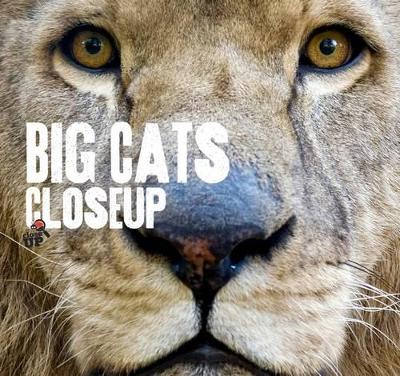 Big Cats CloseUp book