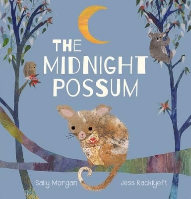 Midnight Possum by Sally Morgan