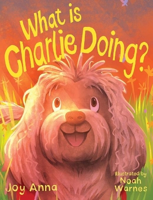 What is Charlie Doing book