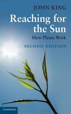 Reaching for the Sun book