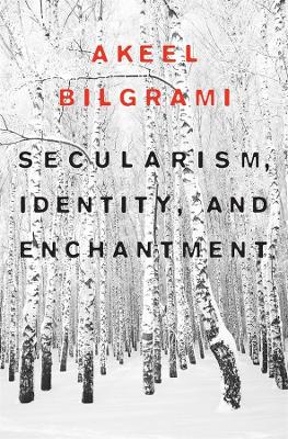 Secularism, Identity, and Enchantment book