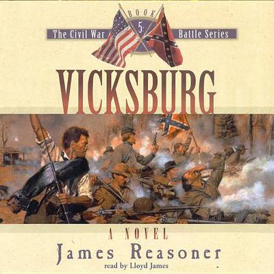 Vicksburg book