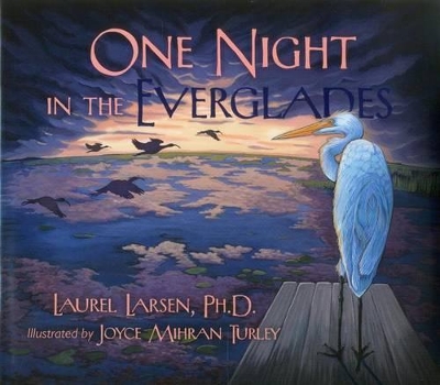 One Night in the Everglades book