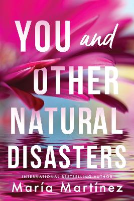 You and Other Natural Disasters book