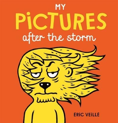 My Pictures After the Storm book
