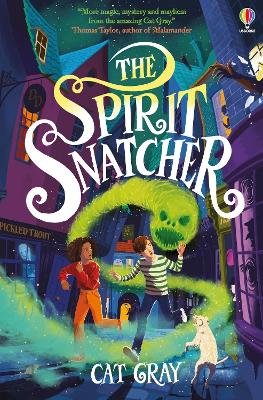 The Spirit Snatcher book
