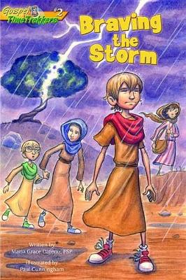 Braving the Storm book