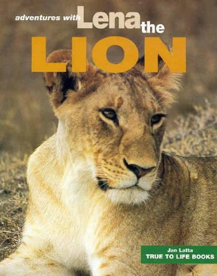 Adventures with Lena the Lion book