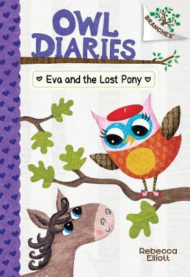 Eva and the Lost Pony book