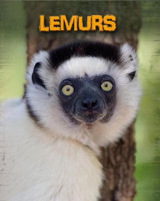 Lemurs book