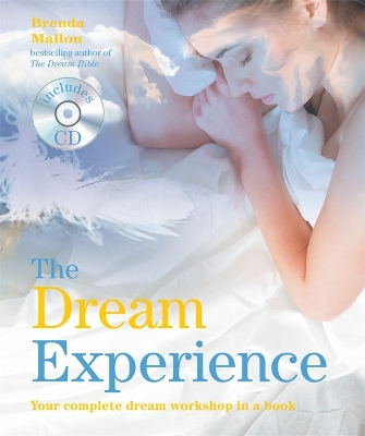 Dream Experience book