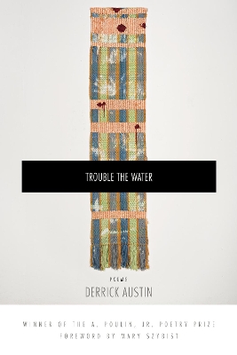 Trouble the Water book