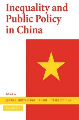 Inequality and Public Policy in China book